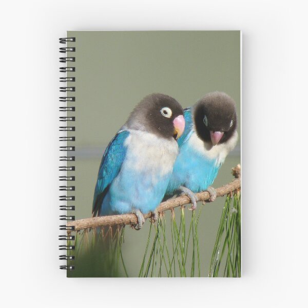 Item preview, I Am Listening, Carry On....Blue Masked Lovebirds - NZ designed and sold by AndreaEL.