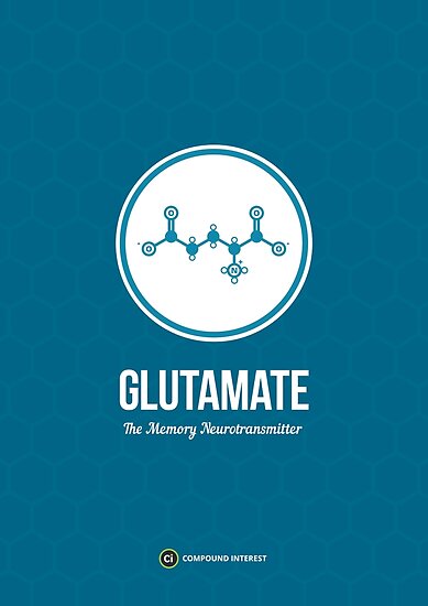 Image result for glutamate neurotransmitter