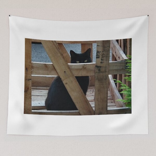 Artikelvorschau, Jenny thinks she is Hiding entworfen und verkauft von AnnDixon.