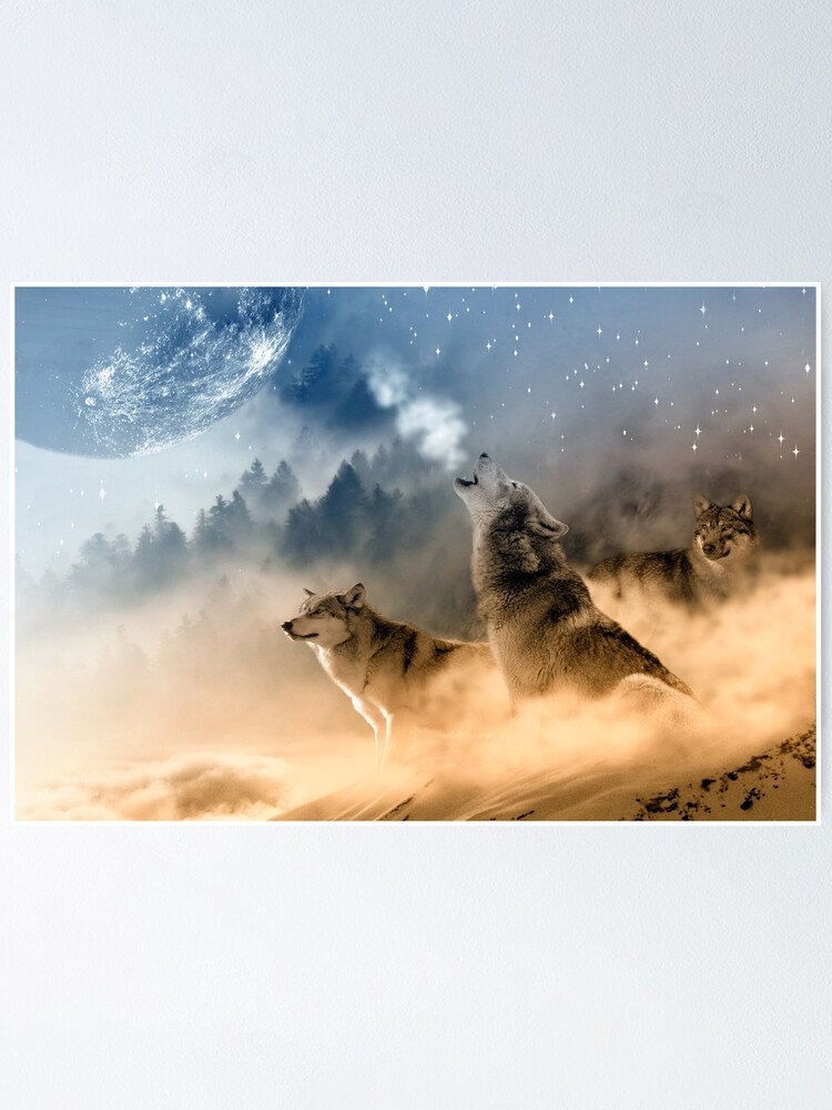 Póster «Lobos aullando a la luna / Hermosos lobos» de ImageMonkey |  Redbubble