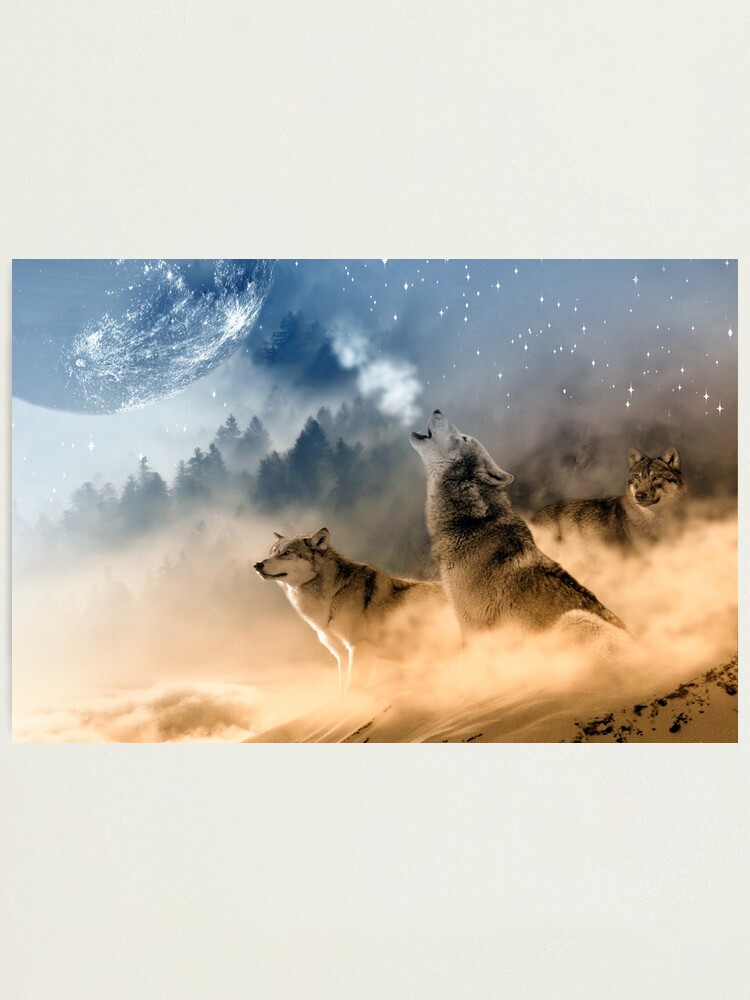 Canvas Pictures Wolves Wild Pack Animals Wall Art Large Poster Howling Wolf  Kunst LA1958358