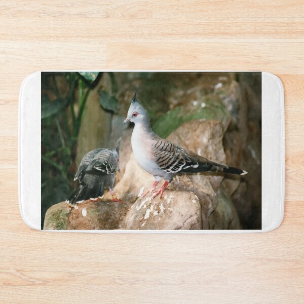 Item preview, Australian Crested Pigeons designed and sold by AnnDixon.