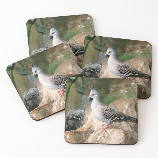 Item preview, Australian Crested Pigeons designed and sold by AnnDixon.