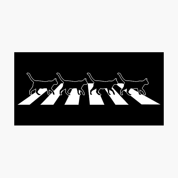 Abbey Road Cat Photographic Print