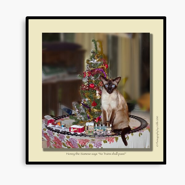 cat calendar #12 Honey for Christmas Canvas Print