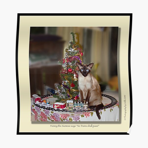 cat calendar #12 Honey for Christmas Poster
