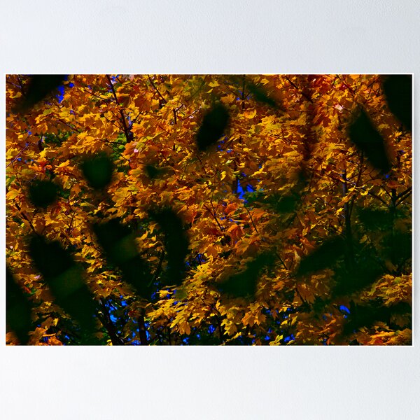 Item preview, October - Private Dancer. By Autumn. Brown Sugar . designed and sold by © Andrzej Goszcz,M.D. Ph.D.
