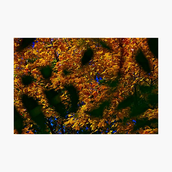 Item preview, October - Private Dancer. By Autumn. Brown Sugar . designed and sold by © Andrzej Goszcz,M.D. Ph.D.