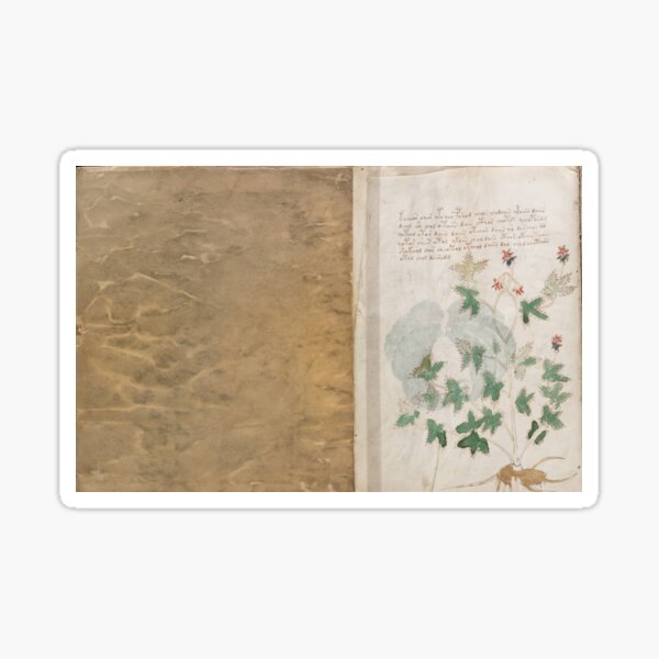 Artikel-Vorschau von Aus dem Voynich-Manuskript, designt und verkauft von myatticstudio.