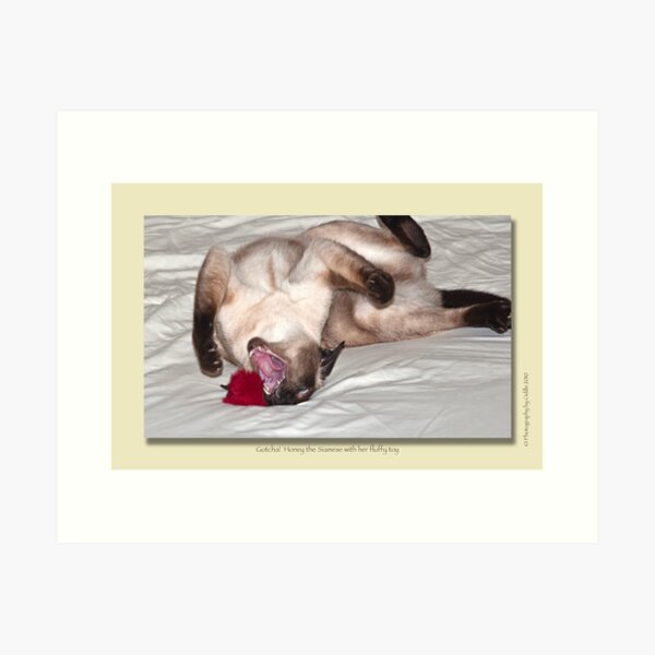 cat calendar #10 Gotcha! Art Print