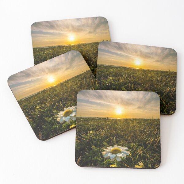 Item preview, Daisy Sunset designed and sold by DafyddEm.
