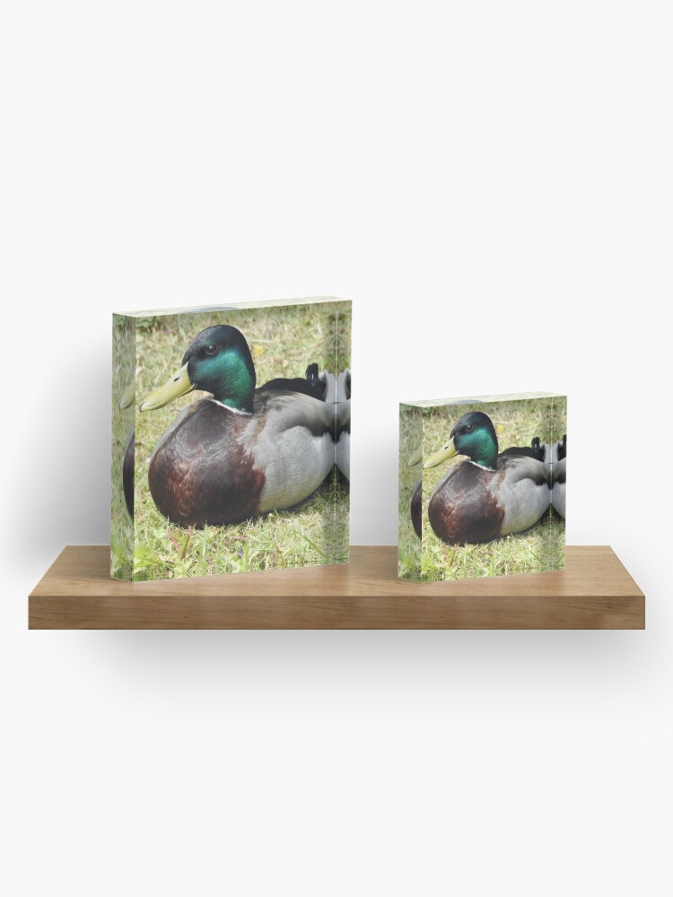 Alternate view of Mallard Duck Acrylic Block