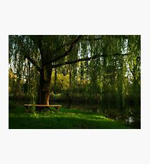 Beneath the Willow Photographic Print