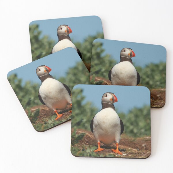 Item preview, Puffin designed and sold by Jon Lees.
