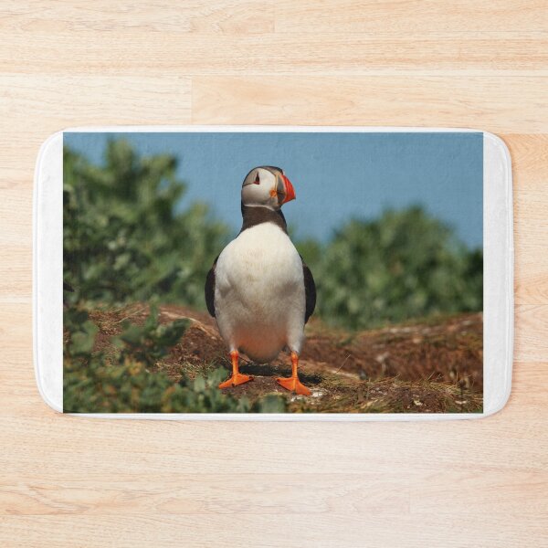 Item preview, Puffin designed and sold by Jon Lees.