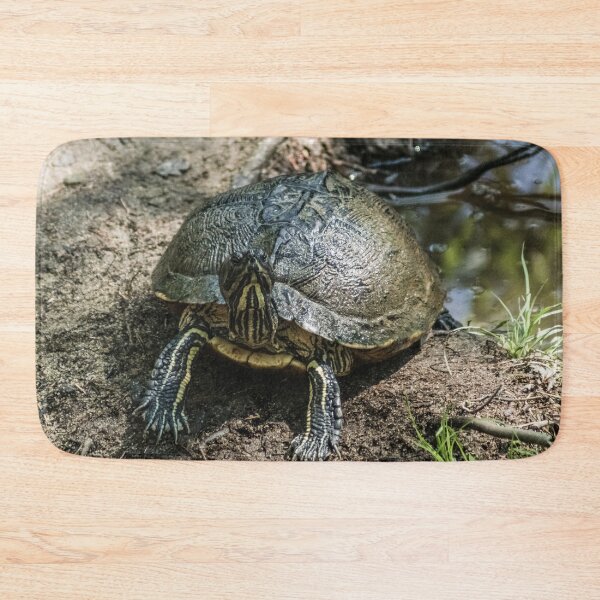 Item preview, Turtle Yellow-bellied Slider designed and sold by KensLensDesigns.