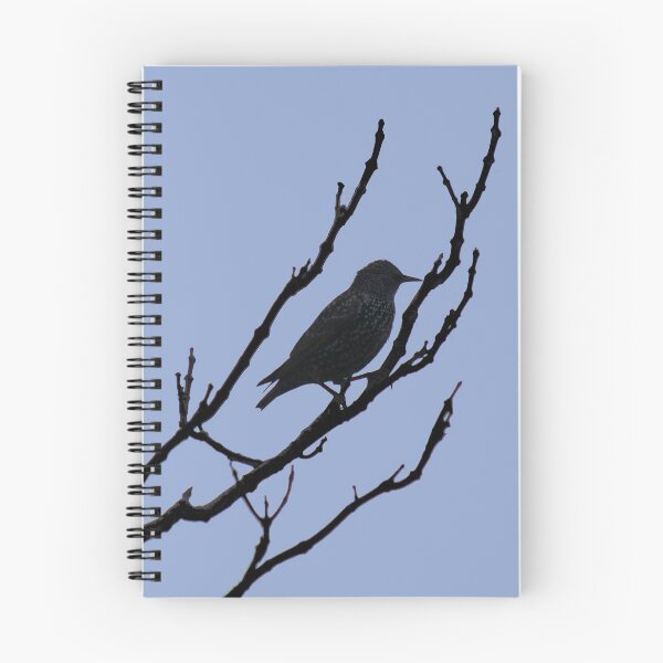 Item preview, Serenity black bird designed and sold by AHELENE.