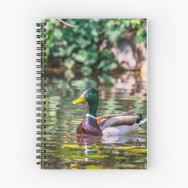 Item preview, Male mallard duck designed and sold by Jelena Slijepcevic.