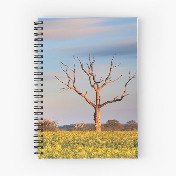 Item preview, Tree in oilseed rape field (Lonely Farm) designed and sold by bitm2007.