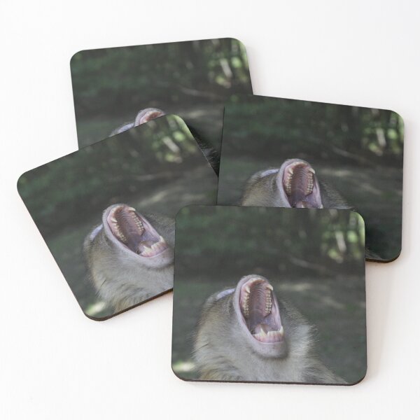 Item preview, Monkey Teeth Photo ~ Barbary Macaques Phone Case designed and sold by deanworld.