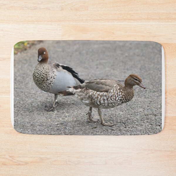Item preview, Australian wood ducks designed and sold by GreyFeatherPhot.