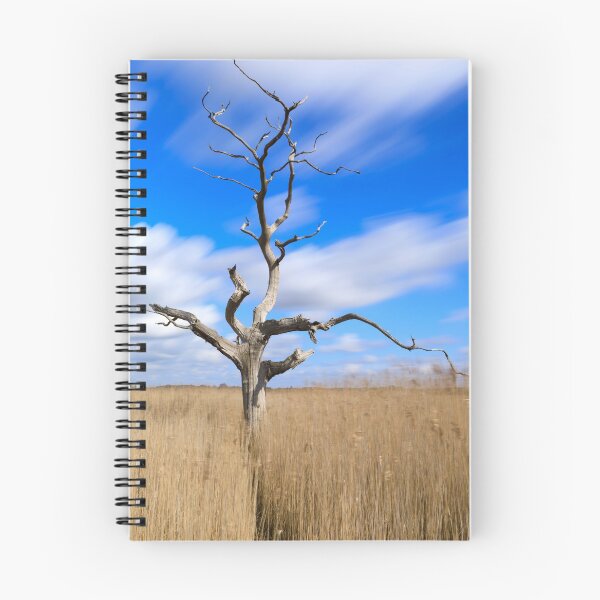 Item preview, Lone tree in reeds (Snape Maltes) designed and sold by bitm2007.