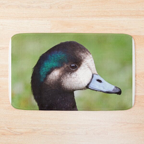 Item preview, Chiloe wigeon I designed and sold by GreyFeatherPhot.
