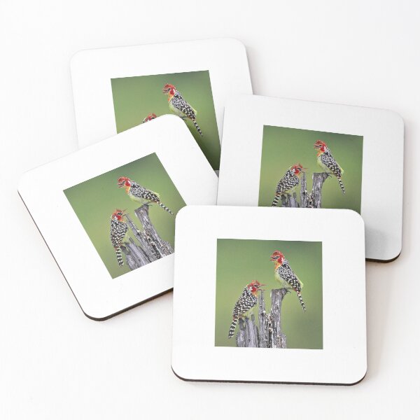 Item preview, Red and Yellow Barbets! designed and sold by Anthony Goldman.