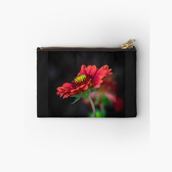 Item preview, Coneflower designed and sold by Cathy Donohoue.