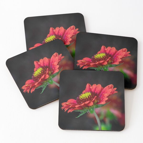 Item preview, Coneflower designed and sold by Cathy Donohoue.