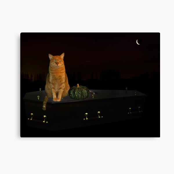 Halloween cat! Canvas Print