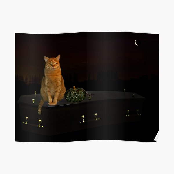 Halloween cat! Poster