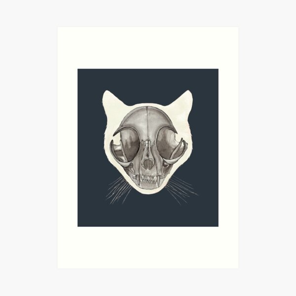 Cat Skull Sketch Stock Illustration - Download Image Now - Skull, Domestic  Cat, Horror - iStock