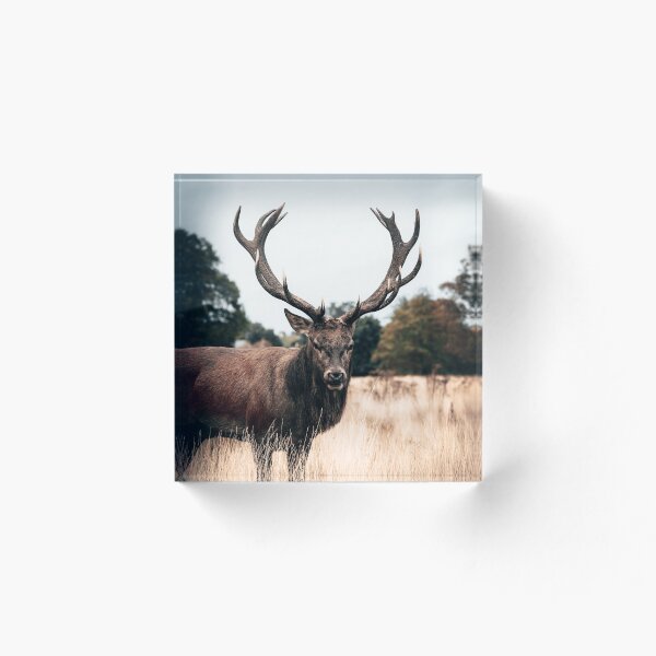 Item preview, Deer Stag designed and sold by opticpixil.