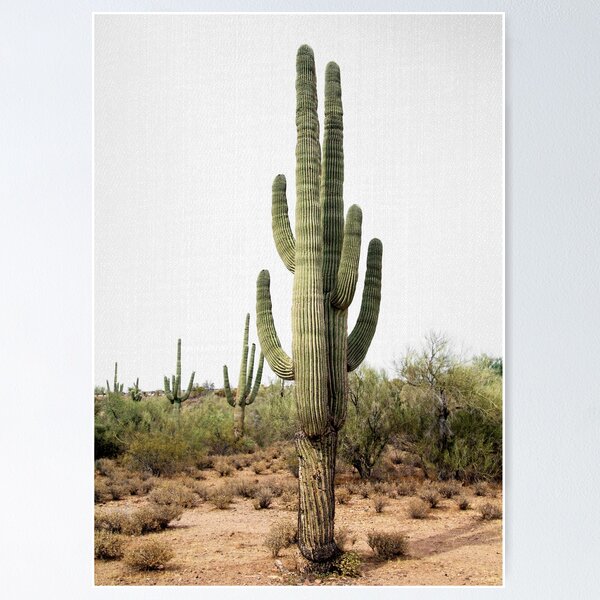 Item preview, Arizona Cactus designed and sold by galdesign.
