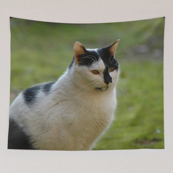 Item preview, "Smudge" designed and sold by Nerone.