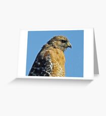 Concentrating Greeting Card