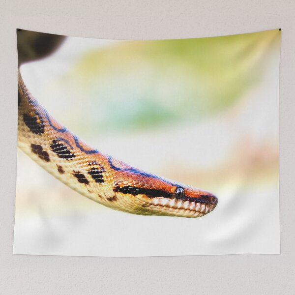 Item preview, Rainbow Boa designed and sold by FOLK ART FUSION by heidiannemorris.