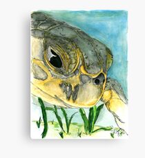 Eeyore the Sea Turtle Canvas Print