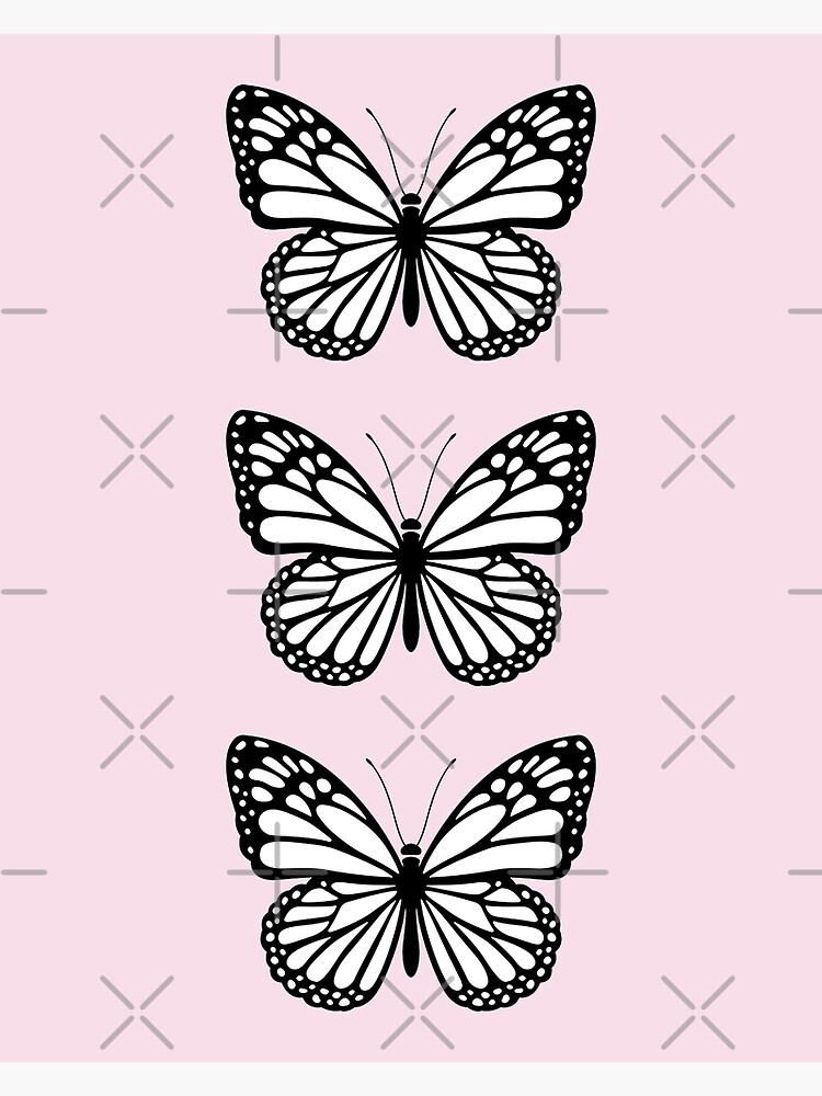 Pink Butterfly by Leilasayan