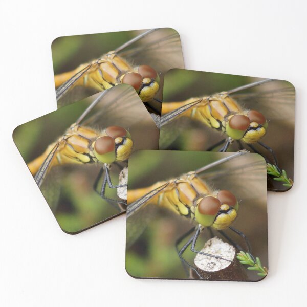 Item preview, Beautiful closeup butterfly macro shot designed and sold by ArtJohannes.