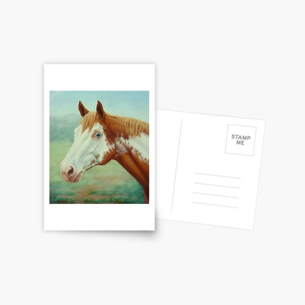 Horse   Postcard  ***    Postkarte  #  18 Pferd 