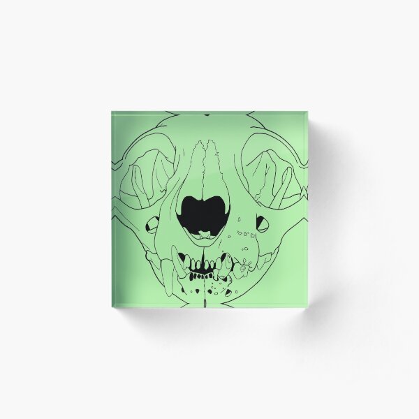 Old Cat Skull, transparent line art Acrylic Block