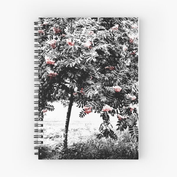 Item preview, The Rowan Tree.....Lake Neuchâtel, Switzerland designed and sold by Imi Koetz.