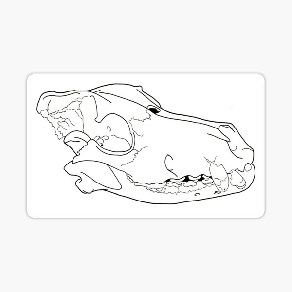 Dog Skull Friend, transparent line art Sticker