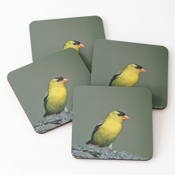 Item preview, American Goldfinch designed and sold by Strawflower Oasis.
