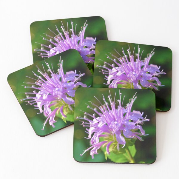 Item preview, Firework Flower! designed and sold by farmbrough.