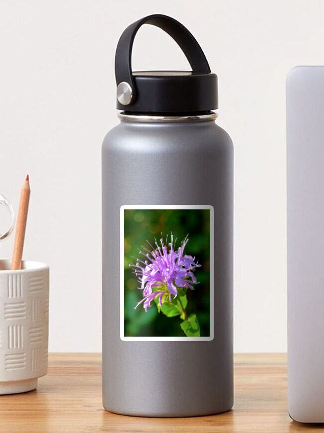 Thumbnail 1 of 3, Sticker, Firework Flower! designed and sold by farmbrough.