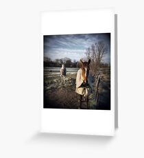Winter Horses Greeting Card