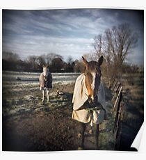 Winter Horses Poster